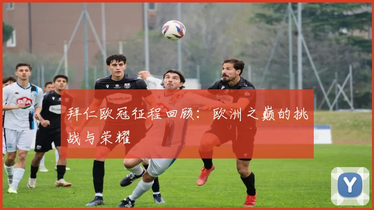 拜仁欧冠征程回顾:欧洲之巅的挑战与荣耀