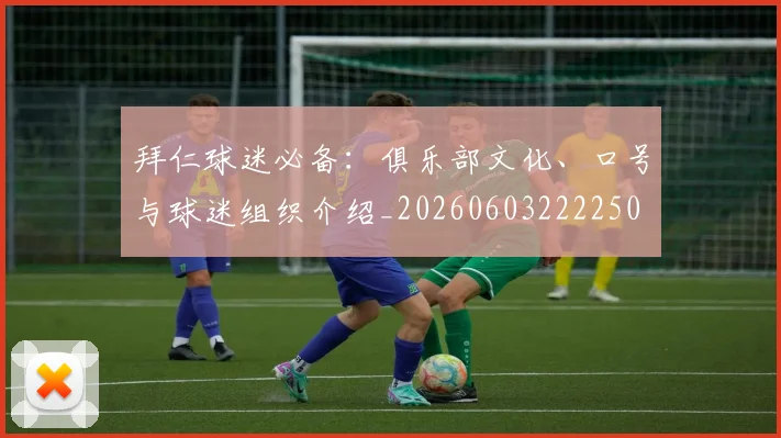 拜仁球迷必备：俱乐部文化、口号与球迷组织介绍_20260603222250